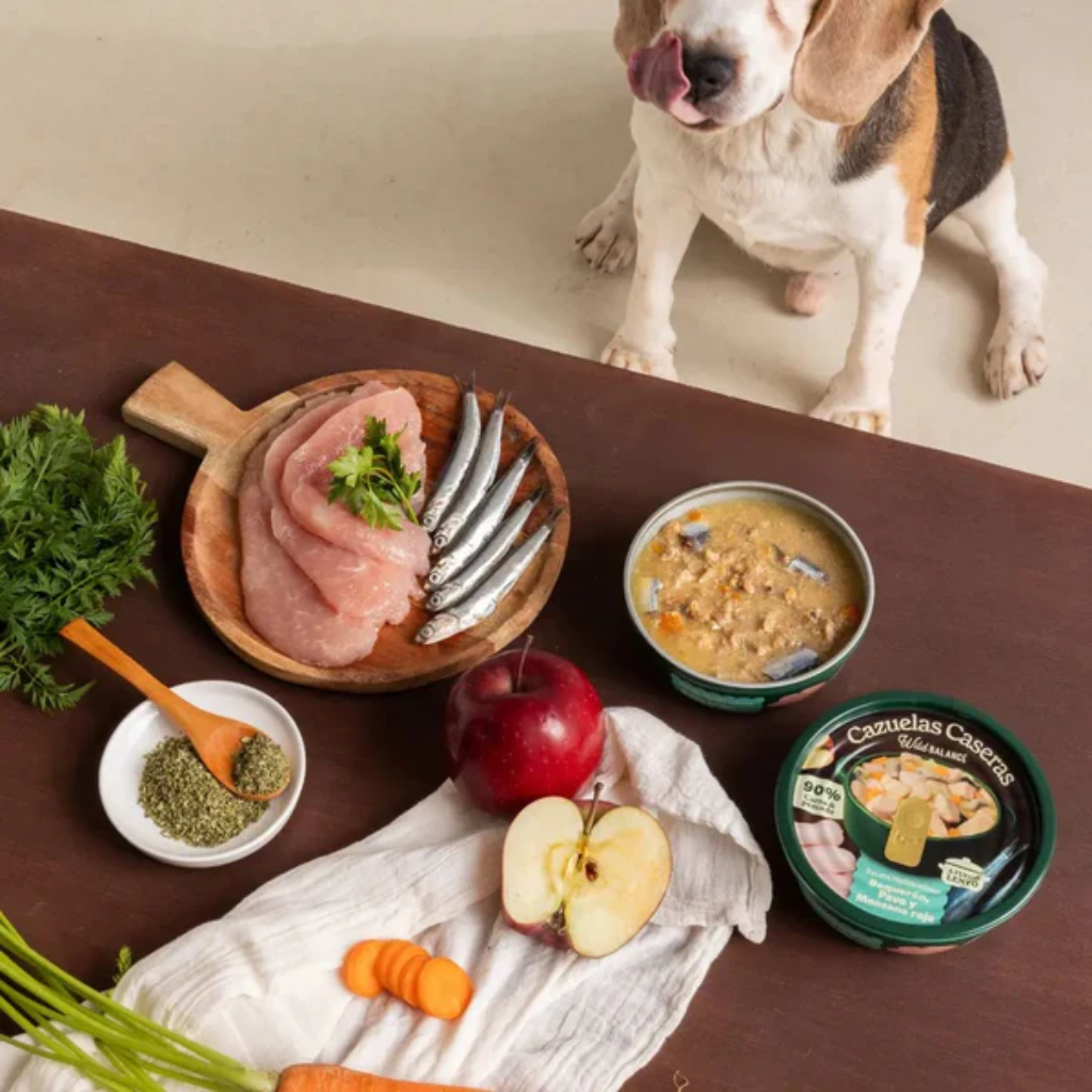 WILD BALANCE Cazuela Casera de Boquerón, Pavo y Manzana 280 g para perros