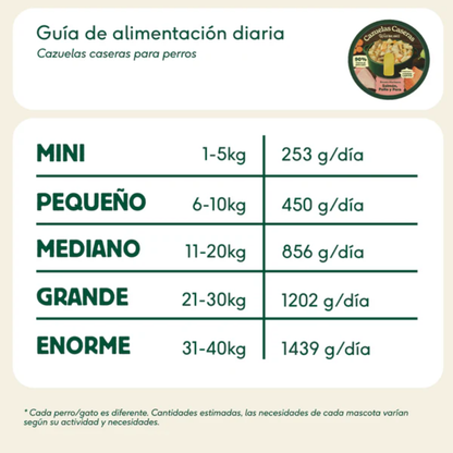 WILD BALANCE Cazuela Casera de Salmón, Pollo y Pera 280 g para perros