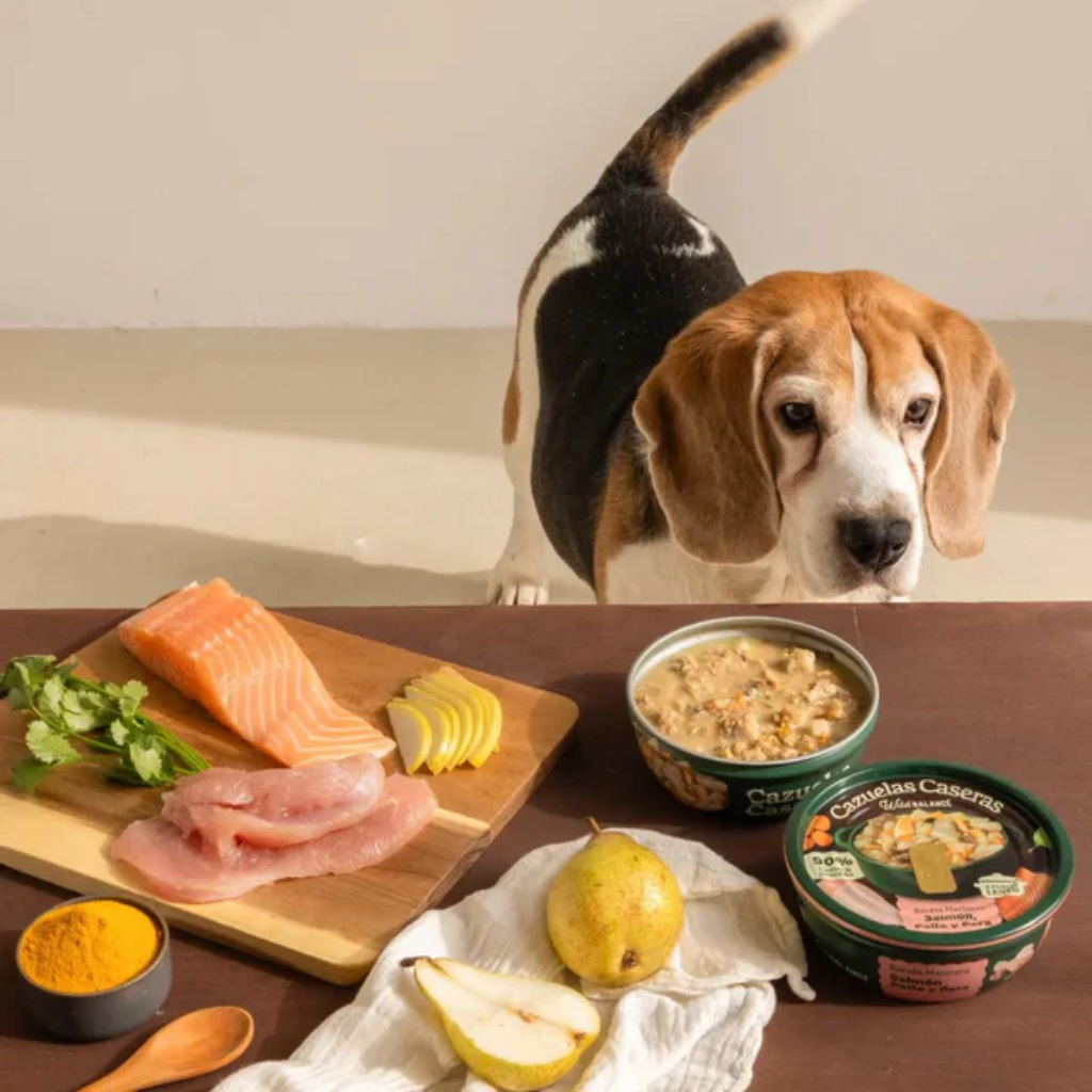 WILD BALANCE Cazuela Casera de Salmón, Pollo y Pera 280 g para perros