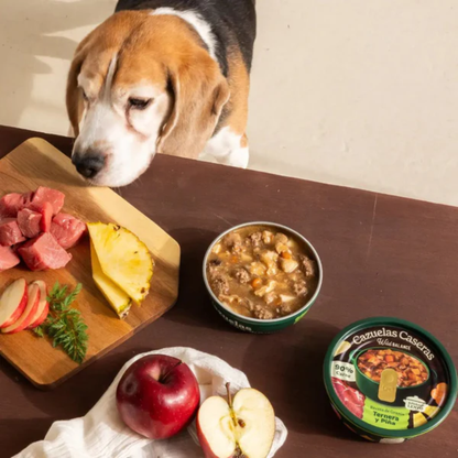 WILD BALANCE Cazuela Casera de Ternera y Piña 280 g para perros