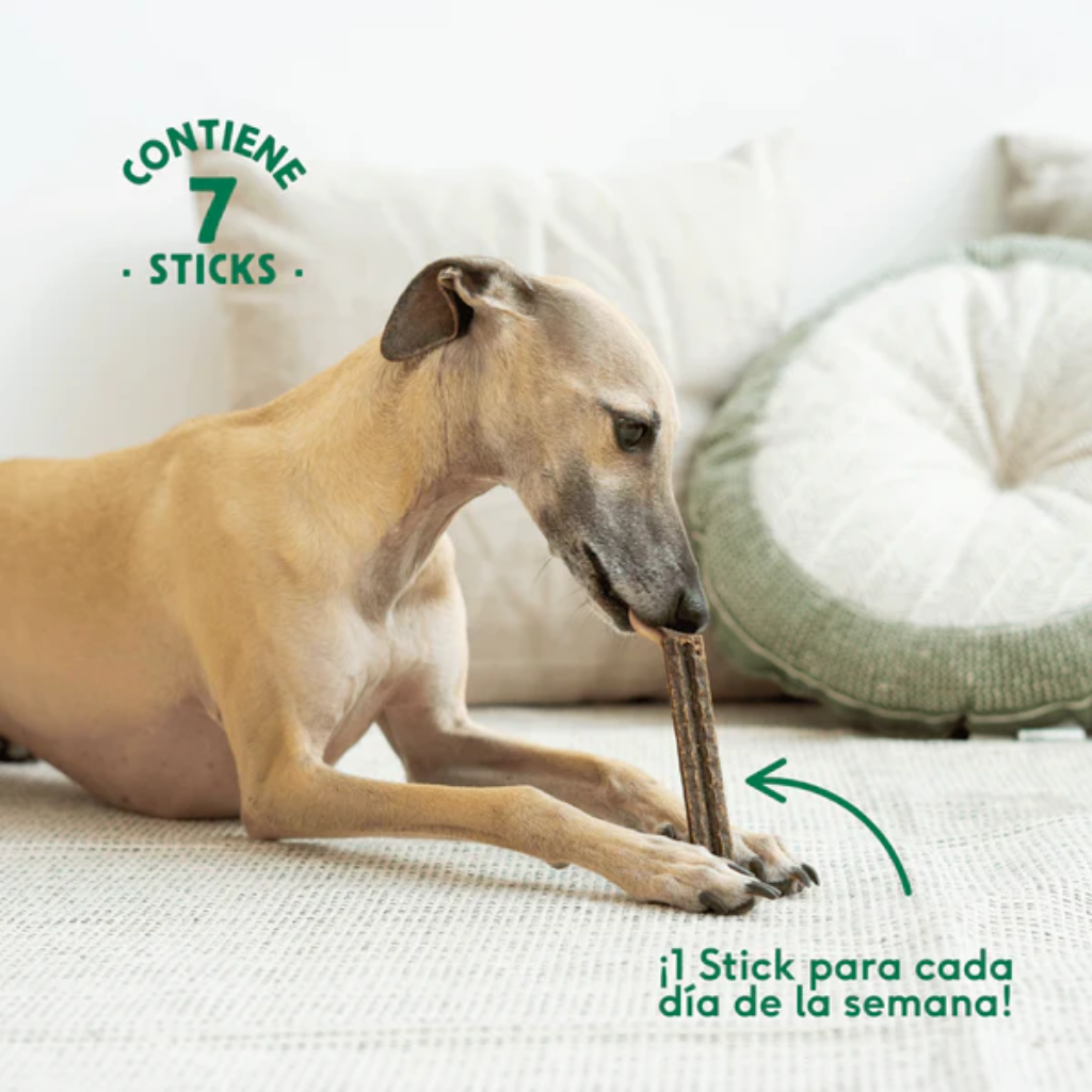WILD BALANCE Sticks Dentales Pavo, Té Verde y Menta - Efecto Relajante 7 uds para perros