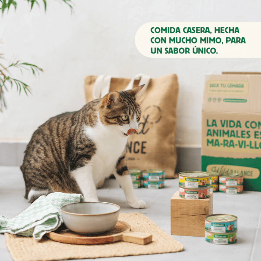 WILD BALANCE Ragut Tradicional de Ternera y Pollo 80 g