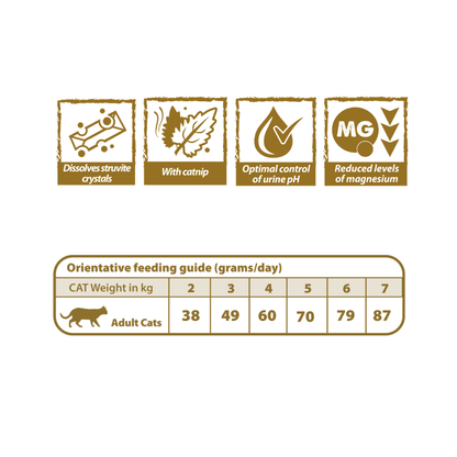 NATURAL GREATNESS Urinary - Struvite para gatos