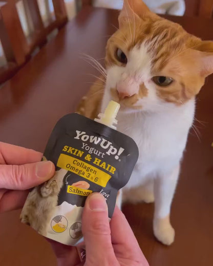 YowUp! Yogur Skin&Hair 85 g para gatos