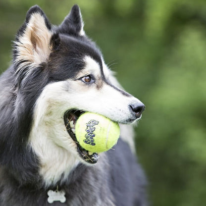 KONG SqueakAir Pelota Cuerda M